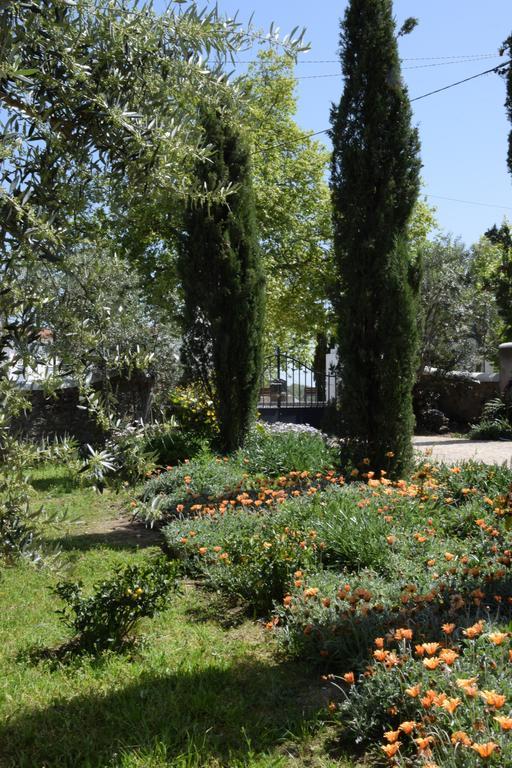 Casa da Paleta Affittacamere Castelo de Vide Esterno foto