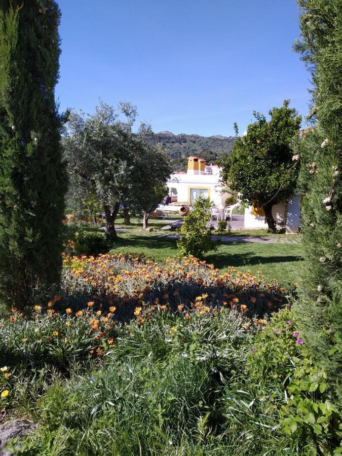 Casa da Paleta Affittacamere Castelo de Vide Esterno foto