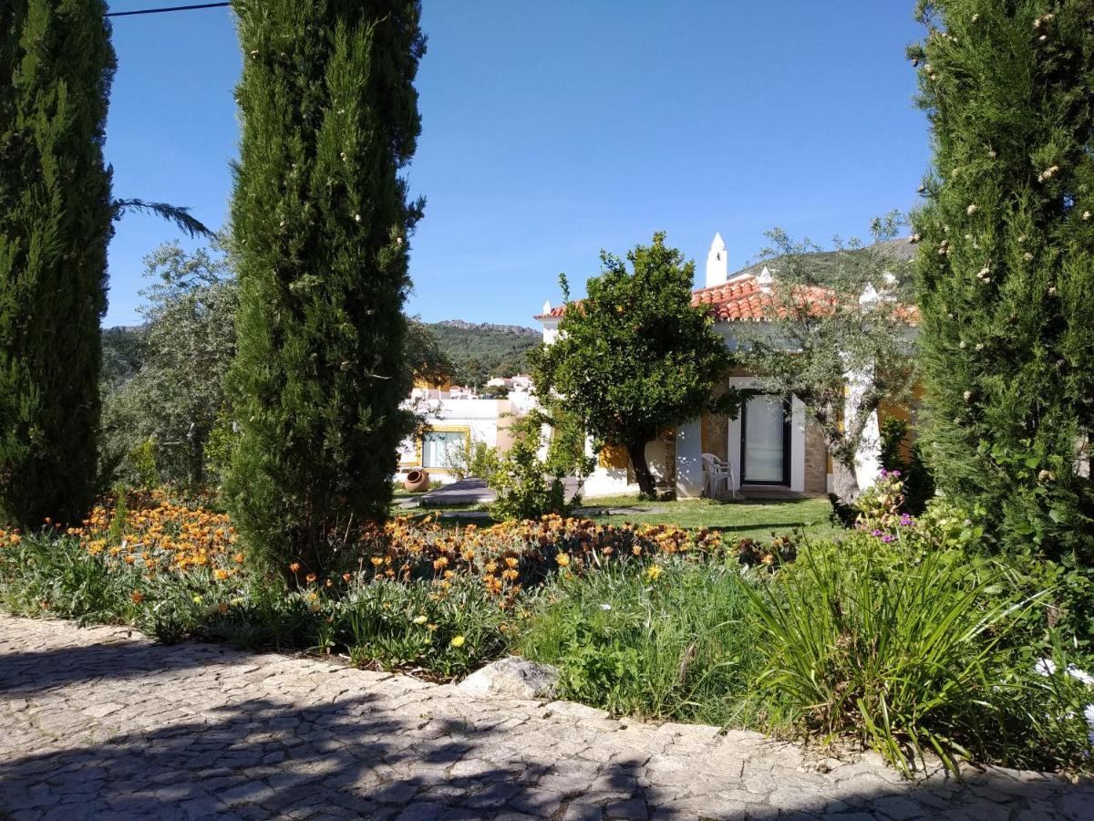 Casa da Paleta Affittacamere Castelo de Vide Esterno foto