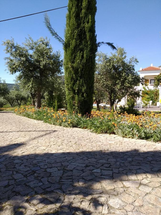 Casa da Paleta Affittacamere Castelo de Vide Esterno foto